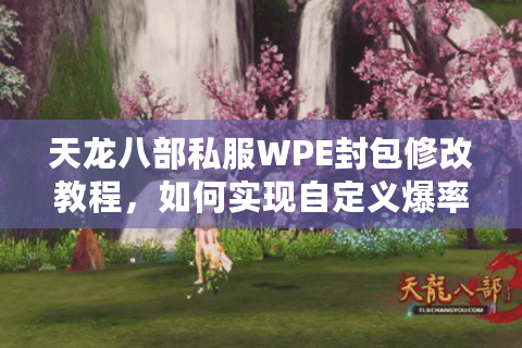 天龙八部私服WPE封包修改教程,如何实现自定义爆率与技能无CD? 天龙八部私服WPE封包修改教程,如何实现自定义爆率与技能无CD?