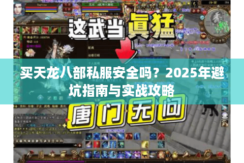 买天龙八部私服安全吗?2025年避坑指南与实战攻略 买天龙八部私服安全吗?2025年避坑指南与实战攻略