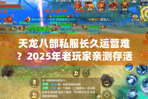 天龙八部私服长久运营难？2025年老玩家亲测存活三年以上的四个秘诀