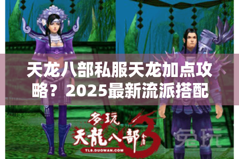 天龙八部私服天龙加点攻略?2025最新流派搭配解析 天龙八部私服天龙加点攻略?2025最新流派搭配解析