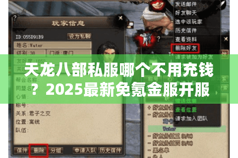 天龙八部私服哪个不用充钱?2025最新免氪金服开服实测报告 天龙八部私服哪个不用充钱?2025最新免氪金服开服实测报告