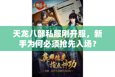 天龙八部私服刚开服,新手为何必须抢先入场? 天龙八部私服刚开服,新手为何必须抢先入场?
