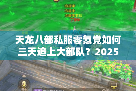 天龙八部私服零氪党如何三天追上大部队?2025年新服白嫖战术揭秘 天龙八部私服零氪党如何三天追上大部队?2025年新服白嫖战术揭秘