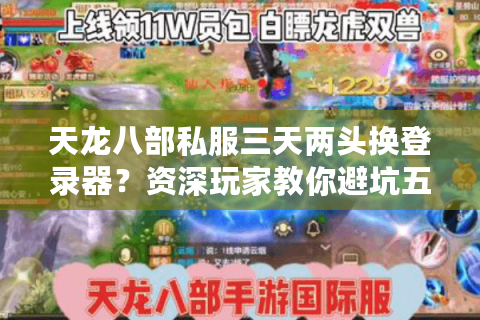 天龙八部私服三天两头换登录器?资深玩家教你避坑五步法 天龙八部私服三天两头换登录器?资深玩家教你避坑五步法