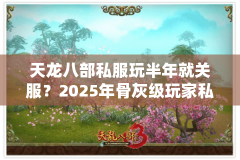 天龙八部私服玩半年就关服?2025年骨灰级玩家私藏避坑法则 天龙八部私服玩半年就关服?2025年骨灰级玩家私藏避坑法则