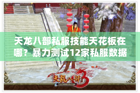天龙八部私服技能天花板在哪?暴力测试12家私服数据真相 天龙八部私服技能天花板在哪?暴力测试12家私服数据真相
