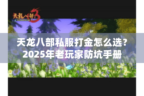 天龙八部私服打金怎么选?2025年老玩家防坑手册 天龙八部私服打金怎么选?2025年老玩家防坑手册