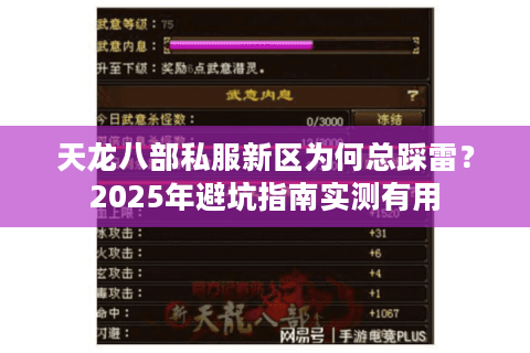 天龙八部私服新区为何总踩雷?2025年避坑指南实测有用 天龙八部私服新区为何总踩雷?2025年避坑指南实测有用