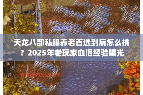 天龙八部私服养老首选到底怎么挑？2025年老玩家血泪经验曝光