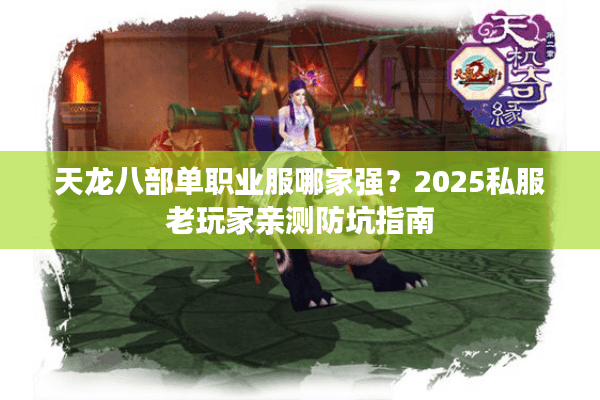 天龙八部单职业服哪家强？2025私服老玩家亲测防坑指南
