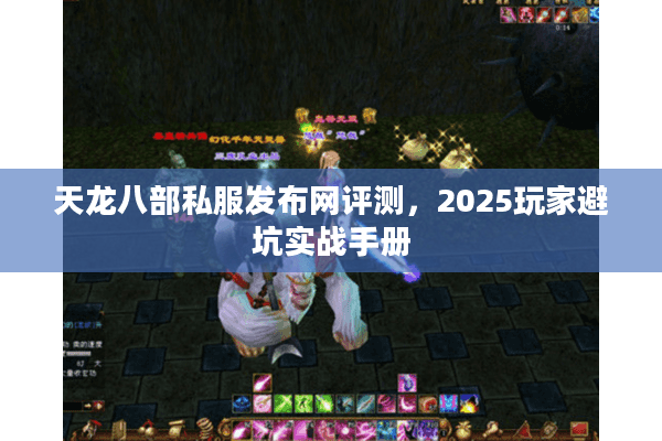 天龙八部私服发布网评测，2025玩家避坑实战手册