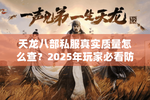 天龙八部私服真实质量怎么查?2025年玩家必看防坑手册 天龙八部私服真实质量怎么查?2025年玩家必看防坑手册