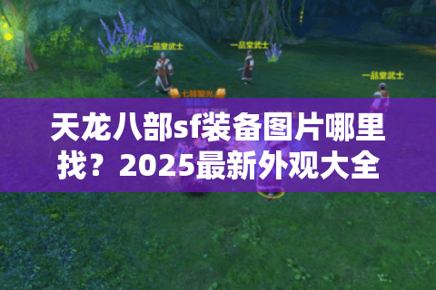 天龙八部sf装备图片哪里找？2025最新外观大全与爆率解析