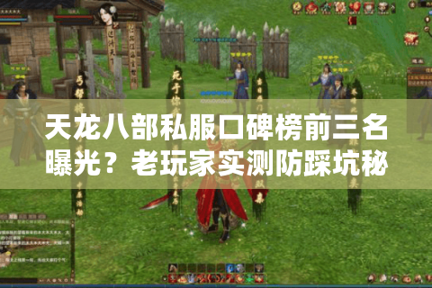 天龙八部私服口碑榜前三名曝光？老玩家实测防踩坑秘籍