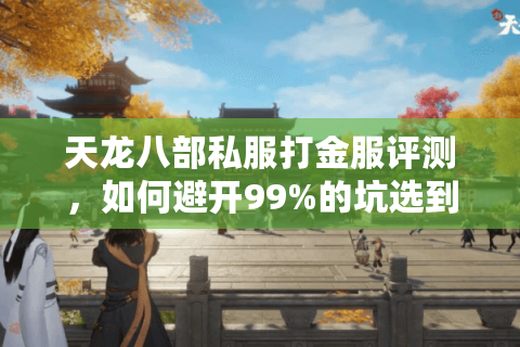 天龙八部私服打金服评测，如何避开99%的坑选到真暴率服？