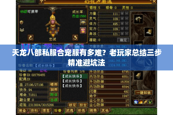 天龙八部私服合宠服有多难?老玩家总结三步精准避坑法 天龙八部私服合宠服有多难?老玩家总结三步精准避坑法