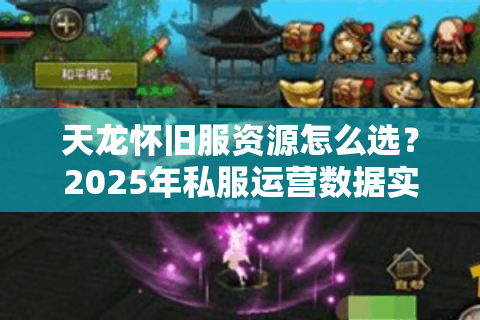 天龙怀旧服资源怎么选?2025年私服运营数据实测避坑 天龙怀旧服资源怎么选?2025年私服运营数据实测避坑