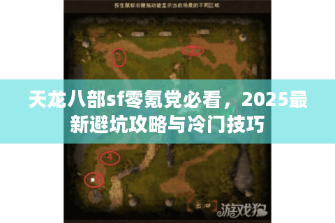 天龙八部sf零氪党必看,2025最新避坑攻略与冷门技巧 天龙八部sf零氪党必看,2025最新避坑攻略与冷门技巧