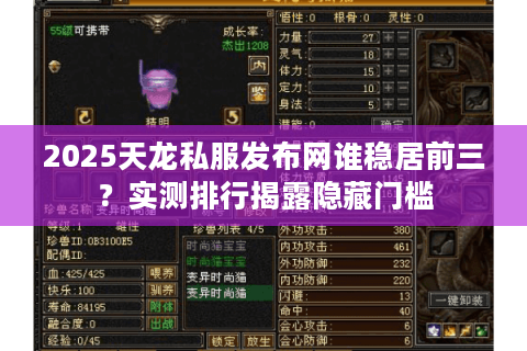2025天龙私服发布网谁稳居前三?实测排行揭露隐藏门槛 2025天龙私服发布网谁稳居前三?实测排行揭露隐藏门槛