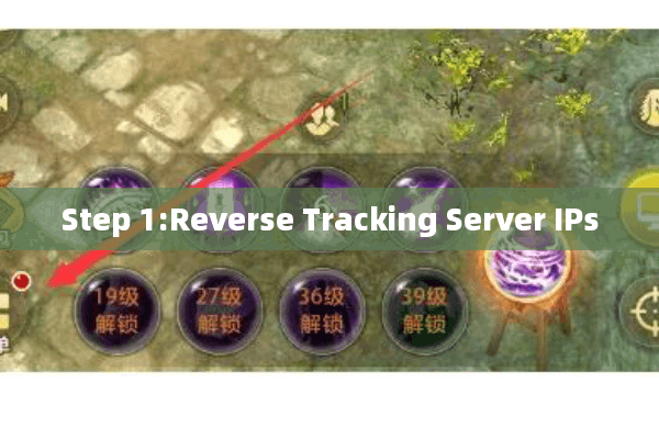 Step 1:Reverse Tracking Server IPs Step 1:Reverse Tracking Server IPs