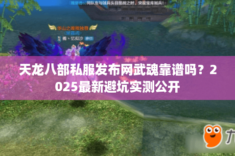 天龙八部私服发布网武魂靠谱吗?2025最新避坑实测公开 天龙八部私服发布网武魂靠谱吗?2025最新避坑实测公开