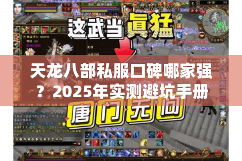 天龙八部私服口碑哪家强?2025年实测避坑手册 天龙八部私服口碑哪家强?2025年实测避坑手册