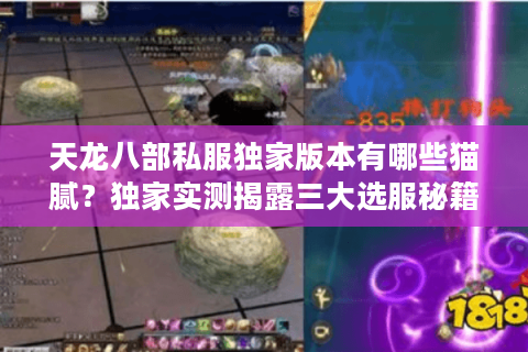 天龙八部私服独家版本有哪些猫腻?独家实测揭露三大选服秘籍 天龙八部私服独家版本有哪些猫腻?独家实测揭露三大选服秘籍