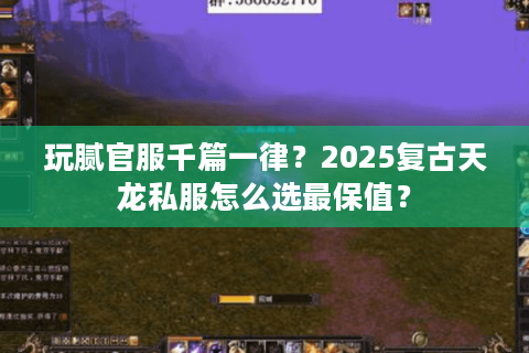 玩腻官服千篇一律？2025复古天龙私服怎么选最保值？