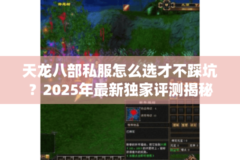 天龙八部私服怎么选才不踩坑?2025年最新独家评测揭秘 天龙八部私服怎么选才不踩坑?2025年最新独家评测揭秘