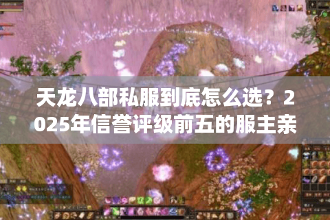 天龙八部私服到底怎么选?2025年信誉评级前五的服主亲测避坑 天龙八部私服到底怎么选?2025年信誉评级前五的服主亲测避坑
