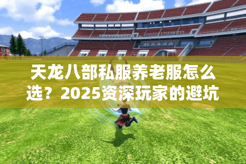 天龙八部私服养老服怎么选?2025资深玩家的避坑指南 天龙八部私服养老服怎么选?2025资深玩家的避坑指南