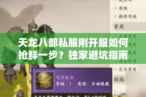 天龙八部私服刚开服如何抢鲜一步?独家避坑指南速存 天龙八部私服刚开服如何抢鲜一步?独家避坑指南速存