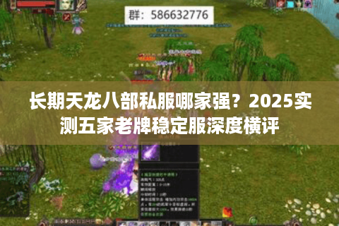 长期天龙八部私服哪家强?2025实测五家老牌稳定服深度横评 长期天龙八部私服哪家强?2025实测五家老牌稳定服深度横评