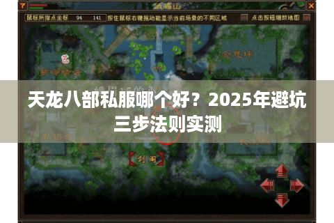 天龙八部私服哪个好？2025年避坑三步法则实测