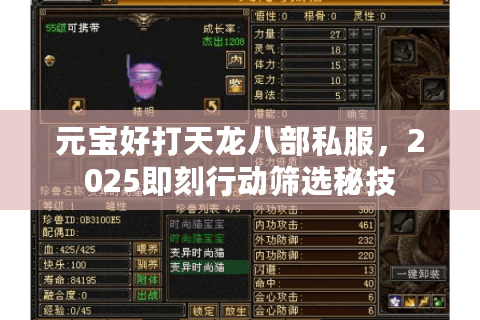 元宝好打天龙八部私服,2025即刻行动筛选秘技 元宝好打天龙八部私服,2025即刻行动筛选秘技