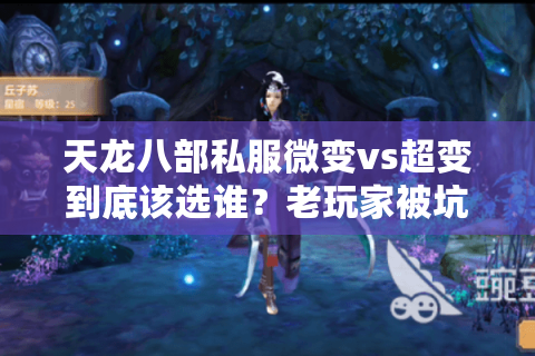 天龙八部私服微变vs超变到底该选谁?老玩家被坑三次才搞懂真相 天龙八部私服微变vs超变到底该选谁?老玩家被坑三次才搞懂真相