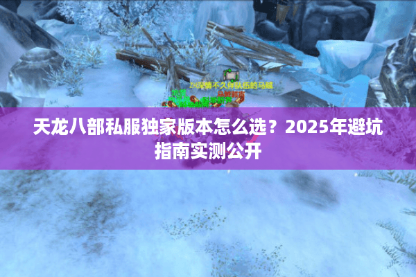 天龙八部私服独家版本怎么选?2025年避坑指南实测公开 天龙八部私服独家版本怎么选?2025年避坑指南实测公开