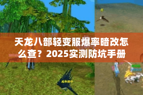 天龙八部轻变服爆率暗改怎么查？2025实测防坑手册