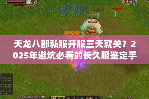 天龙八部私服开服三天就关？2025年避坑必看的长久服鉴定手册