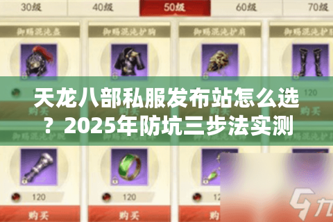 天龙八部私服发布站怎么选？2025年防坑三步法实测