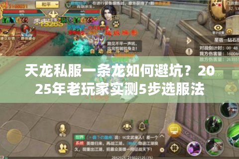 天龙私服一条龙如何避坑?2025年老玩家实测5步选服法 天龙私服一条龙如何避坑?2025年老玩家实测5步选服法