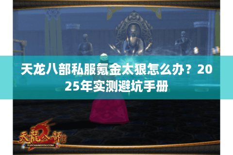 天龙八部私服氪金太狠怎么办？2025年实测避坑手册