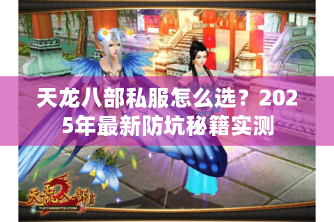 天龙八部私服怎么选?2025年最新防坑秘籍实测 天龙八部私服怎么选?2025年最新防坑秘籍实测