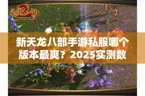 新天龙八部手游私服哪个版本最爽?2025实测数据对比 新天龙八部手游私服哪个版本最爽?2025实测数据对比