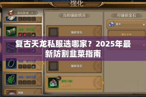 复古天龙私服选哪家?2025年最新防割韭菜指南 复古天龙私服选哪家?2025年最新防割韭菜指南