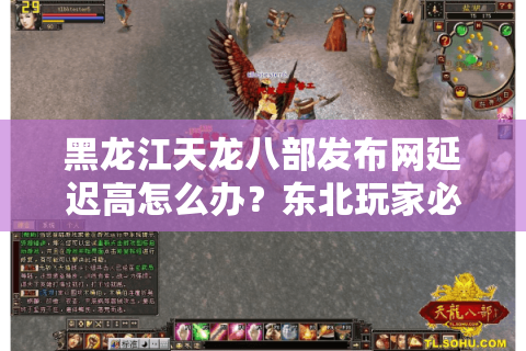 黑龙江天龙八部发布网延迟高怎么办？东北玩家必备的选服技巧