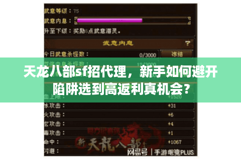 天龙八部sf招代理，新手如何避开陷阱选到高返利真机会？