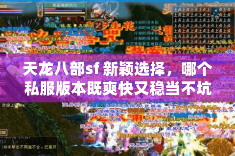 天龙八部sf 新颖选择，哪个私服版本既爽快又稳当不坑爹？