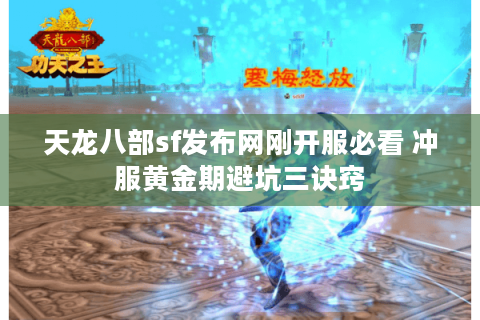 天龙八部sf发布网刚开服必看 冲服黄金期避坑三诀窍
