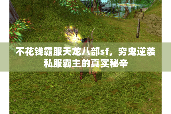 不花钱霸服天龙八部sf，穷鬼逆袭私服霸主的真实秘辛